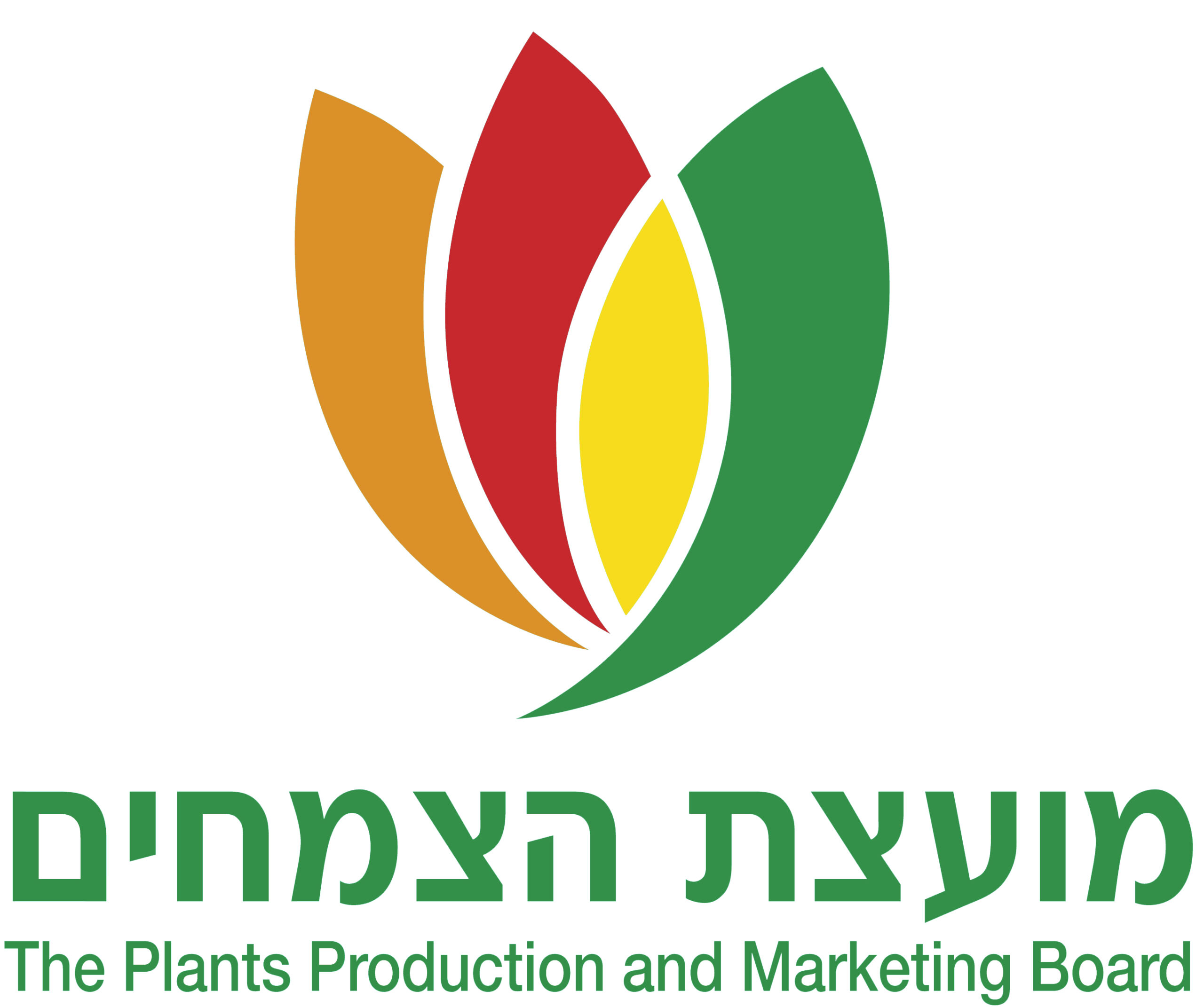 לוגו מועצה ללא רקע